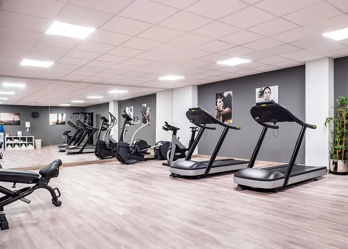 Ibis Styles 4*